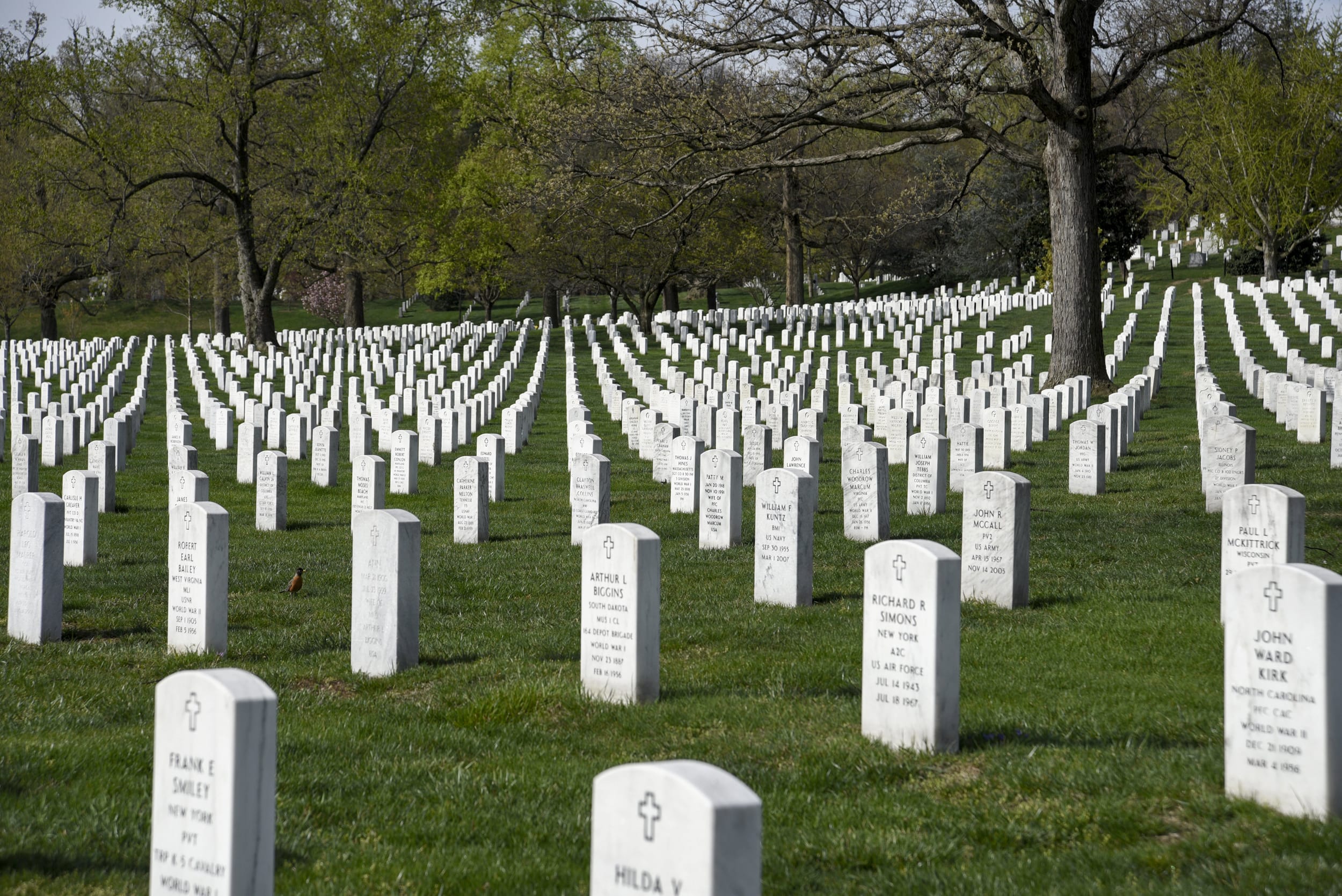 Arlington National Cemetery.