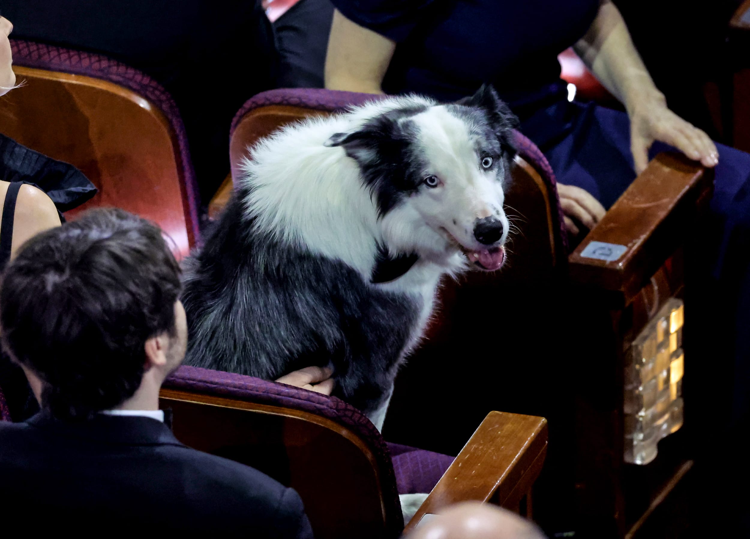 96th Annual Academy Awards - Show