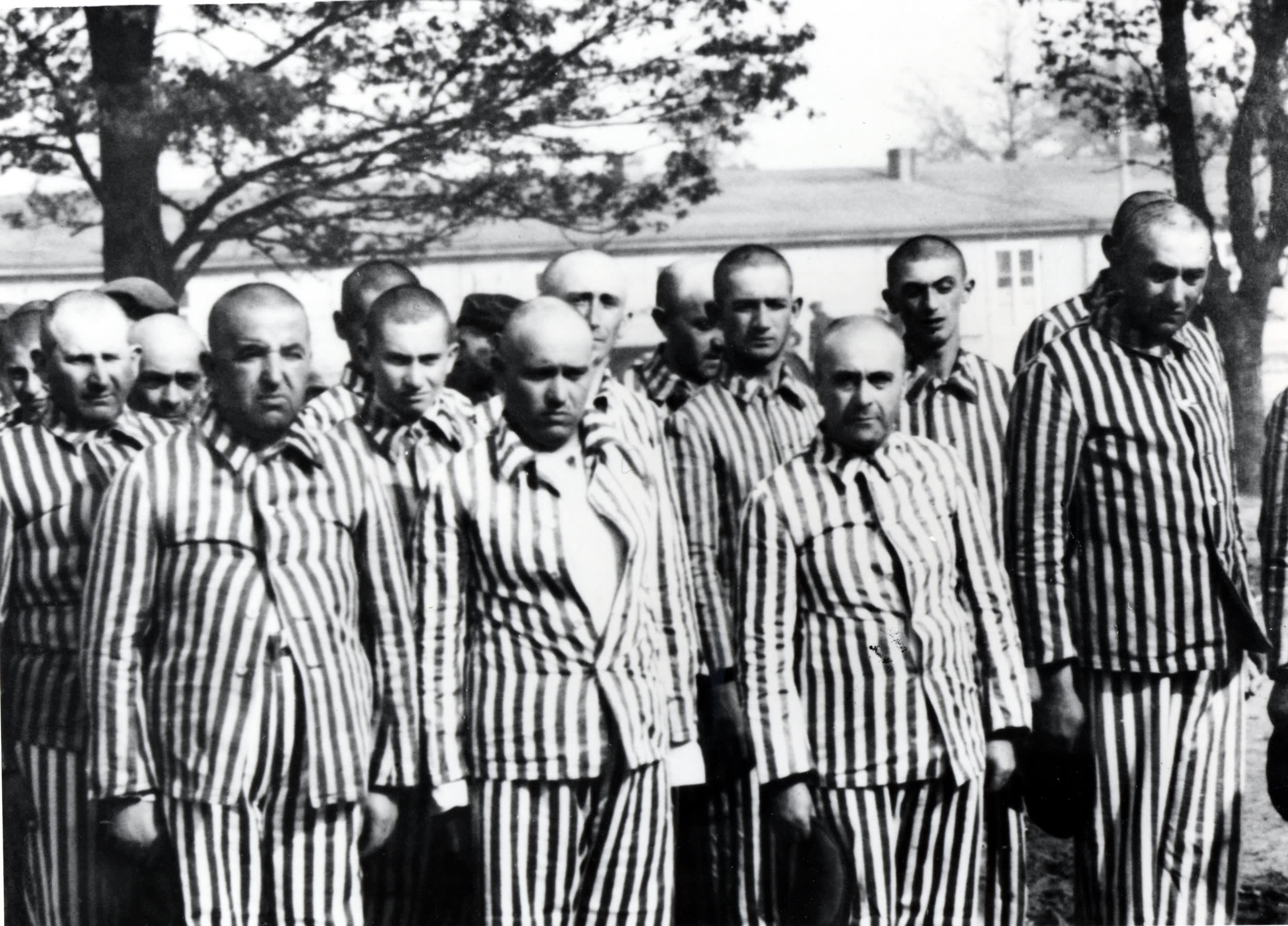 Auschwitz concentration camp