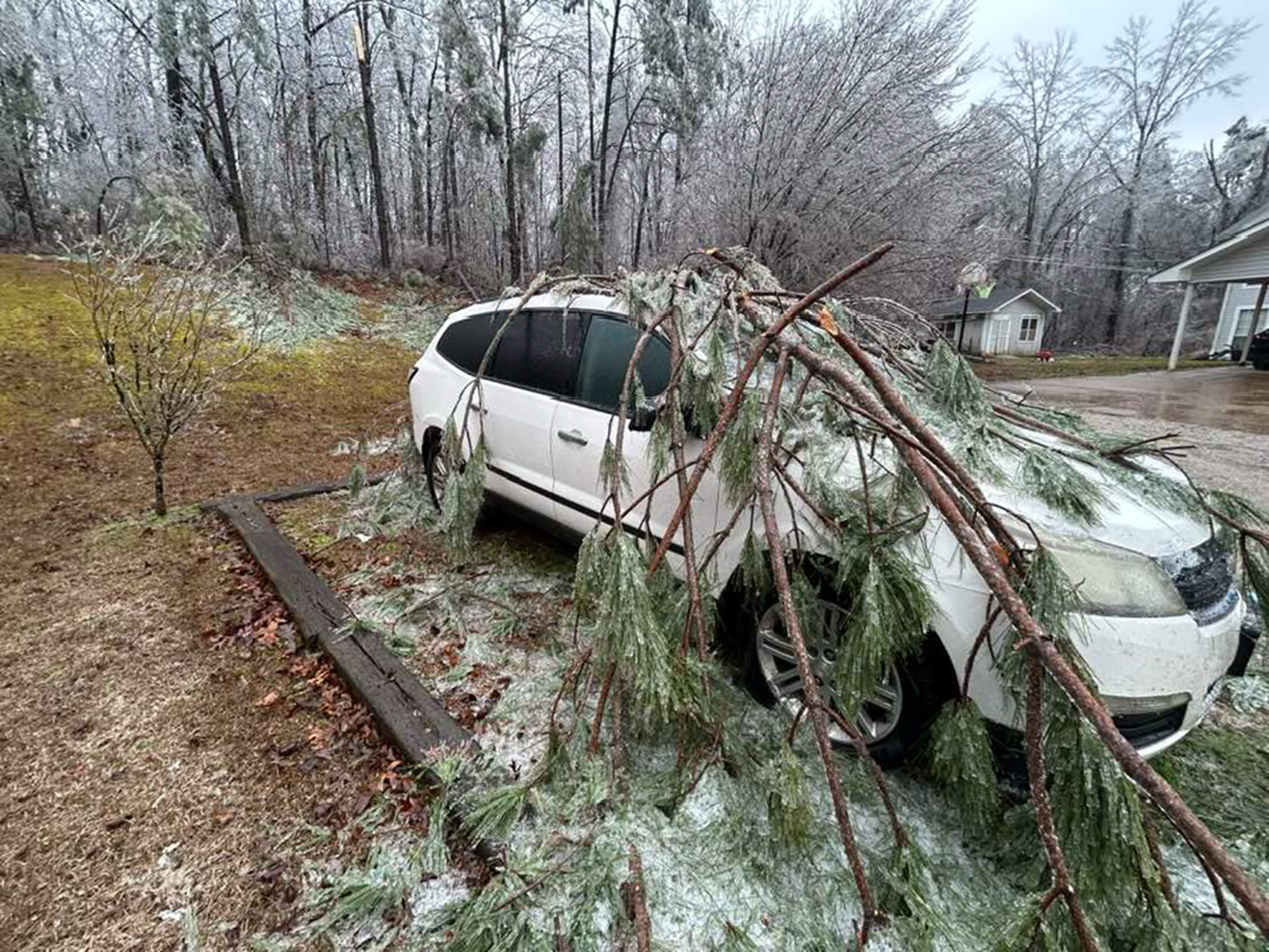 Fallen tree on an SUV in Winona, MS.