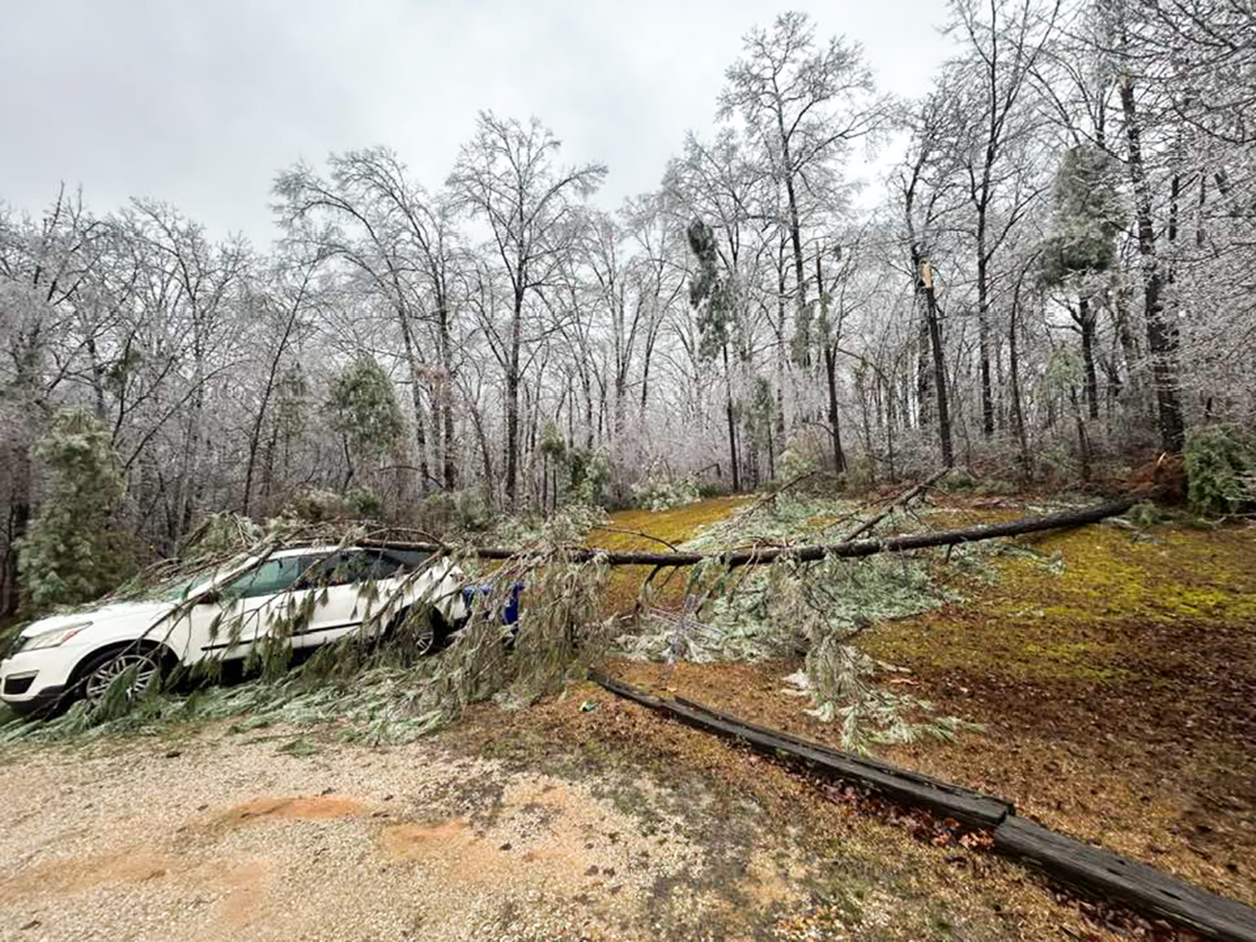 Downed tree on an SUV in Winona, MS