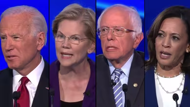 Candidates pounce on Warren, go after Trump at Democratic debate
