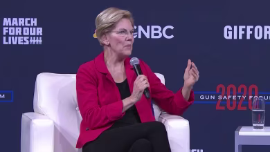 Warren: Trump's dangling of potential gun reform is part of 'fundamental corruption in Washington'