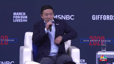 Andrew Yang on the correlation between economic insecurity and gun violence