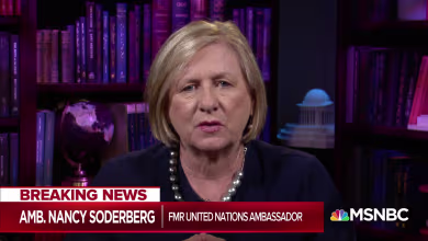 'I've never seen anything like it': Diplomat knocks Trump allies defending Ukraine bribery
