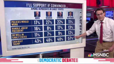 Defeating Donald Trump key to Democratic voter preferences: poll
