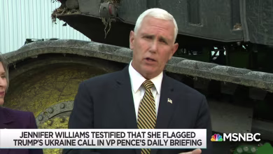 Impeachment witnesses explode Trump defense, expose Perry, Pence