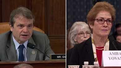 Quigley compares what happened to Yovanovitch to 'a really bad reality TV show'