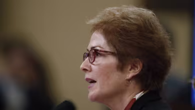 Yovanovitch: I had 'no agenda' while working in Ukraine