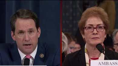 Rep. Himes asks Yovanovitch how she would have advised Trump on his Ukraine call