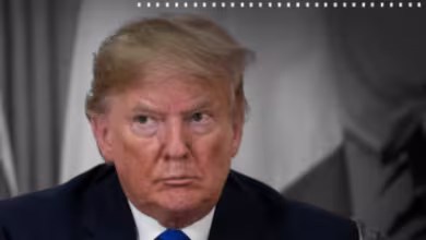 House Intel's impeachment report has a 'flood of evidence' against Trump