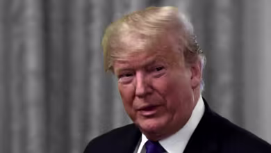 Dems drop new evidence tightening Trump's link to Lev Parnes