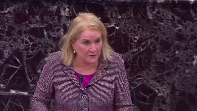 Garcia: Impeachment and criminality 'must be assessed separately'