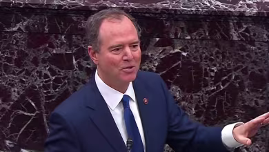 Pete Williams explains why 'there is no standard in impeachment trials'