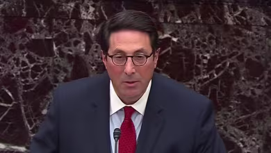 Sekulow claims 'no witness' testified to Trump engaging in quid pro quo