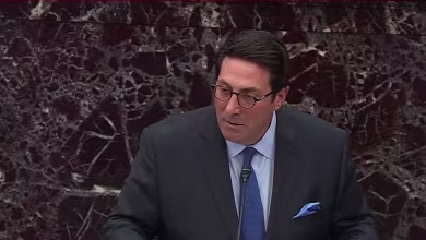 Sekulow: You are being asked to remove Trump 'in an election year'