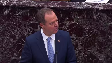 Schiff cites reported 'head will be on a pike' threat to senators in closing remarks