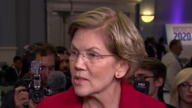 Warren on Bloomberg's pregnancy discrimination denial: 'I believe the woman'