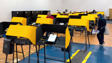 Hand sanitizer and gloves: How polling stations are allaying coronavirus fears