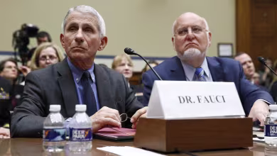 Dr. Fauci, CDC director testify at House hearing about coronavirus test kits