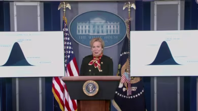 Dr. Birx outlines estimated coronavirus deaths in April