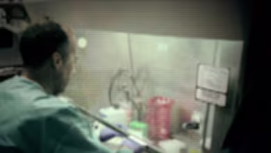 How to protect yourself as scammers cash in on coronavirus fears