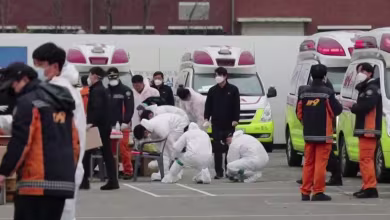 South Korea sees decline in coronavirus cases after mass testing