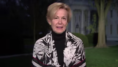 Dr. Deborah Birx predicts up to 200,000 deaths ‘if we do things almost perfectly’