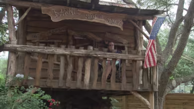 Doctor moves into backyard treehouse to protect family from COVID-19