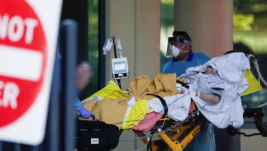 Cruise ship with COVID-19 passengers docks in Florida