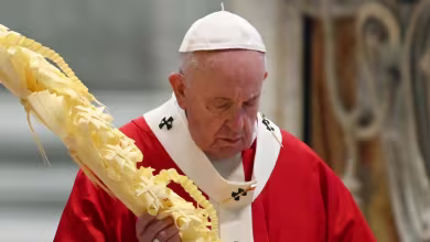 Pope Francis on Palm Sunday: Reach out to those who are suffering, lonely