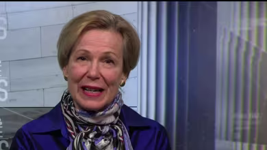 Birx: Injecting disinfectant 'is not a treatment'