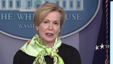 Dr. Birx details three phases of guidelines to reopen U.S.