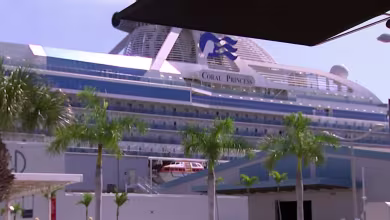 Cruise ship with passengers who tested positive for coronavirus docks in Florida