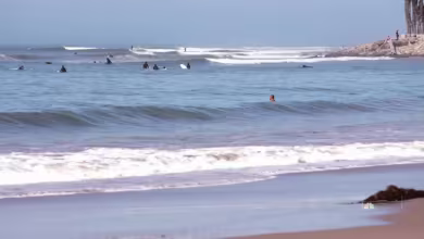 Americans crowd beaches and parks, sparking coronavirus concerns