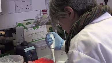 Oxford University scientists say coronavirus vaccine could be ready by year’s end