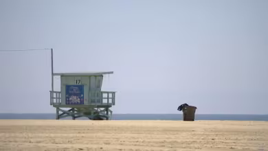 What life after coronavirus could look like