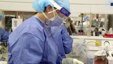 Experimental coronavirus treatment shows promising preliminary results