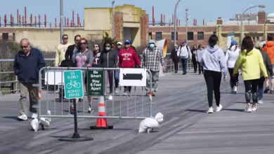 Americans with 'quarantine fatigue' are heading out of the house, research say