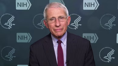 Dr. Anthony Fauci on alleged security threats: ‘You just focus on the job’