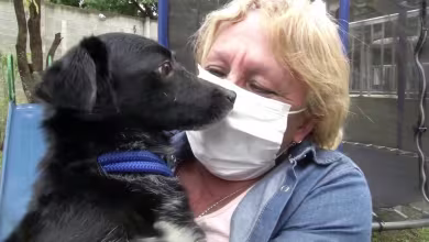 Pet adoption program aims to ease challenge of Rio's coronavirus outbreak