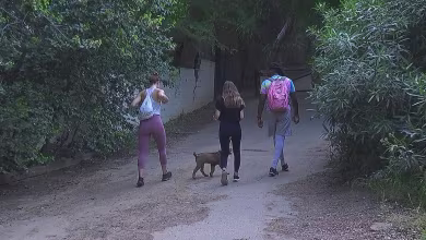 Coronavirus: New reopenings across the U.S. as protests continue