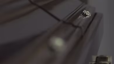 Deaths from COVID-19 likely underreported