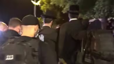 Israeli police arrest hundreds ignoring coronavirus ban on mass gatherings