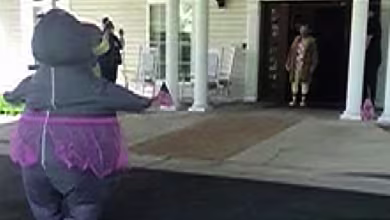 Woman wears hippo suit to hug family member at nursing home