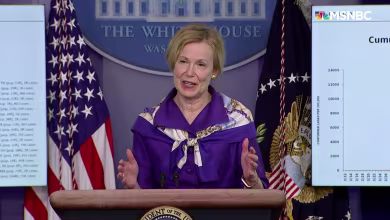 Dr. Birx: There is still 'significant virus circulating' in D.C. and other metro areas