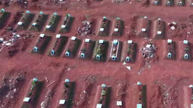 Brazil’s coronavirus outbreak grows amid government tension