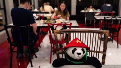 Restaurant uses toy pandas to ensure social distancing for diners