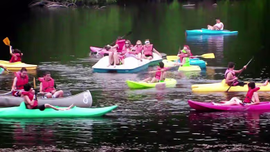 New summer camp guidelines released