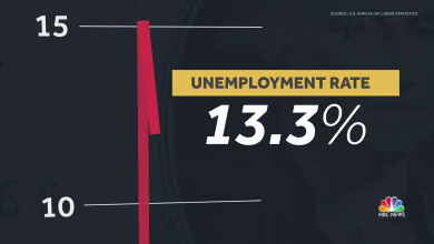 Unemployment rate drops to 13.3 percent despite coronavirus pandemic